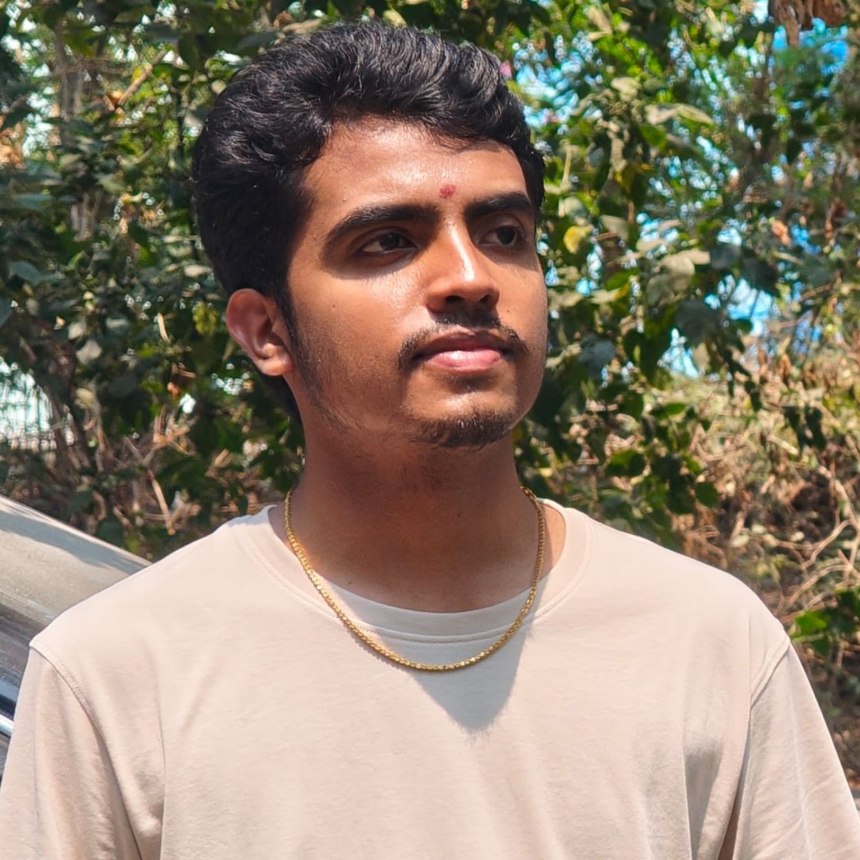 Partha Srikar